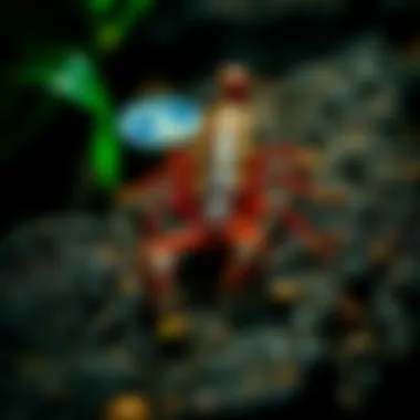 Environmental Impact of Pesticides A chart showing the environmental impact of different pesticide options