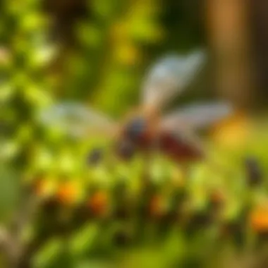 Integrated Pest Management Strategies Visual representation of integrated pest management strategies