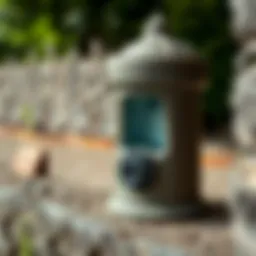 Protecta Evo Ambush bait station showcasing its innovative design