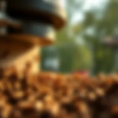 Long-term efficacy analysis of the Sentricon system