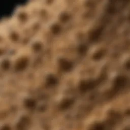 Close-up view of Sevin dust granules showcasing their texture.