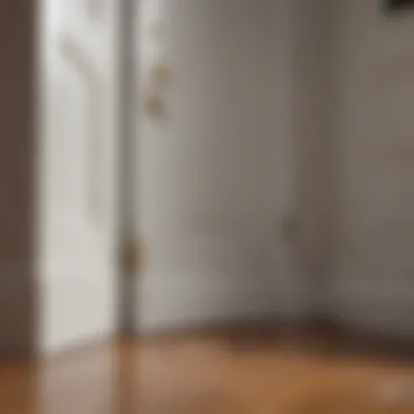 Sealed Entry Points to Prevent Ants Sealed entry points around a door frame