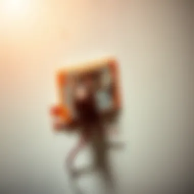 Effective Rat Trap Placement Close-up of a rat trap effectively set against a wall