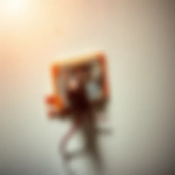 Effective Rat Trap Placement Close-up of a rat trap effectively set against a wall