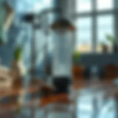 Cleaning Habits that Deter Water Bugs Daily cleaning routines to keep homes pest-free