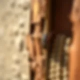 Sealing cracks and gaps to prevent water bugs