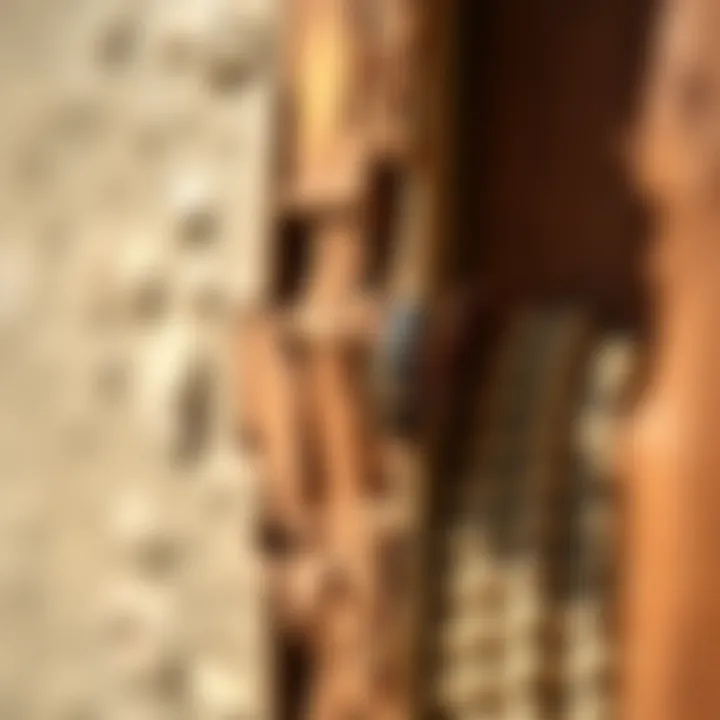 Effective Sealing Techniques Against Water Bugs Sealing cracks and gaps to prevent water bugs