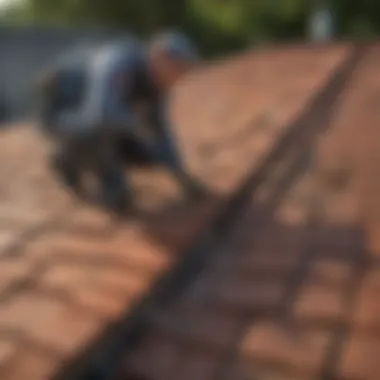 Professional pest control service in action