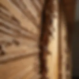 Detailed view of termite damage in wooden structures