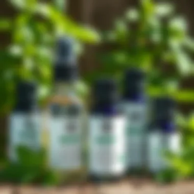 Essential oil bottles featuring mint extracts