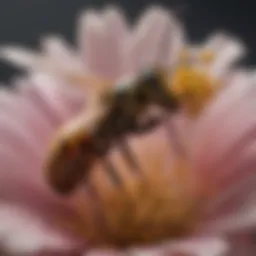 A close-up of a wasp on a flower, showcasing its role in pollination.