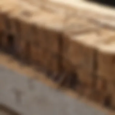 Close-up of termite damage on wooden beams