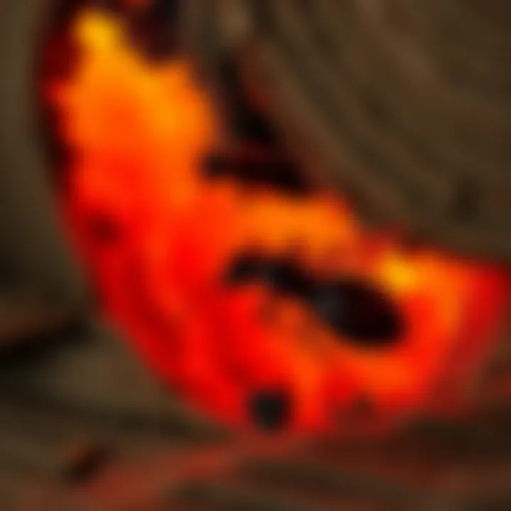 Illustration of thermal remediation in action against termites