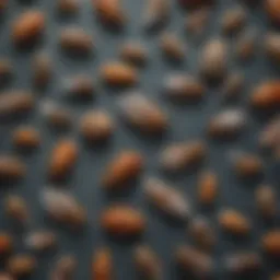 A detailed view of various pests commonly found in households.