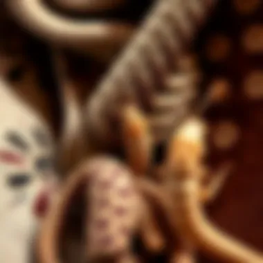 Illustration of damaged fabrics caused by carpet beetle infestations