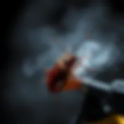 Overview of cockroach professional spray application