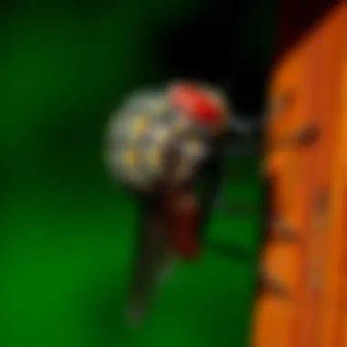 Understanding Fly Repellers: Methods, Effectiveness, and Considerations Introduction Understanding Fly Repellers: Methods, Effectiveness, and Considerations Introduction