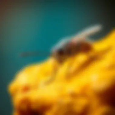 Factors Influencing Costs Factors influencing pest control costs