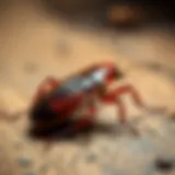 Understanding the Costs of Roach Treatment Introduction