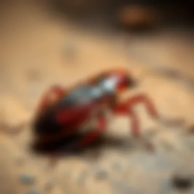 Understanding the Costs of Roach Treatment Introduction