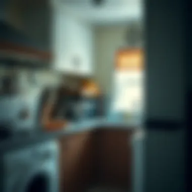 Signs of Infestation in Kitchen Infestation signs in a kitchen corner