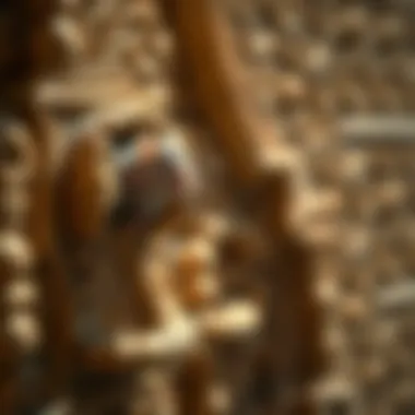 Identifying Mice Entry Points Common entry points for mice in homes