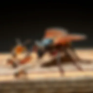 Common Household Pests Diverse range of pests commonly found in homes